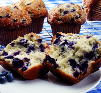 Blueberry Muffin