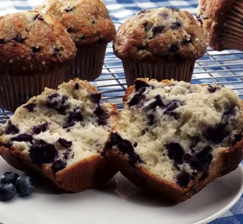 Blueberry Muffin