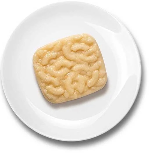 Shaped Macaroni And Cheese