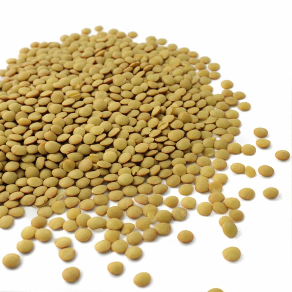 Iqf Lentils