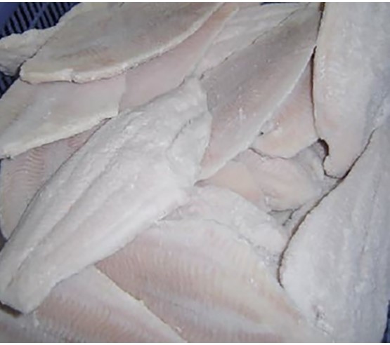 Iqf 5-7oz Catfish Filet